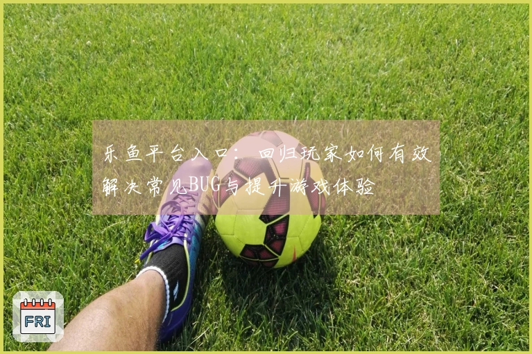 乐鱼平台入口：回归玩家如何有效解决常见BUG与提升游戏体验