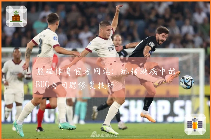 熊猫体育官方网站：玩转游戏中的BUG与问题修复技巧