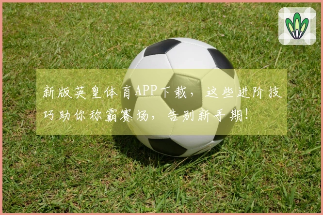 新版英皇体育APP下载，这些进阶技巧助你称霸赛场，告别新手期！