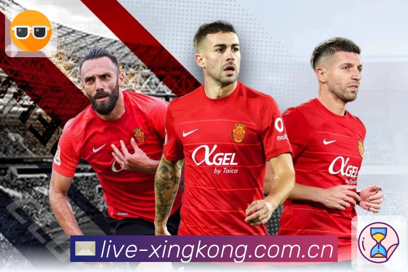 <strong>xingkong</strong>三步极简投注